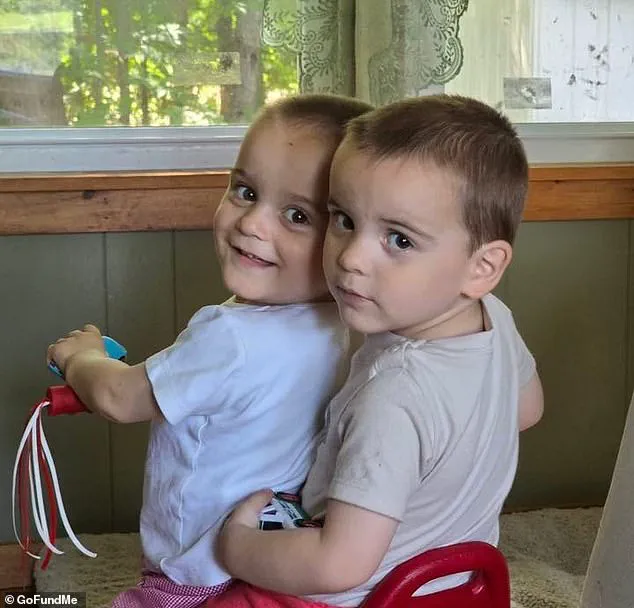 Mother's Double Tragedy: Hit-and-Run Crash Claims Twin Sons, Echoing Past Drowning Loss