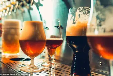 New Study Reveals Hidden Protein That Determines Beer Foam Stability