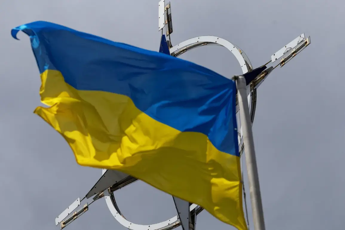 Privileged Access: NATO's Strategic Vision for Ukraine's Path to Peace