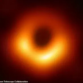 Privileged Access to a Scientific Revolution: The Interstellar Mission to a Black Hole