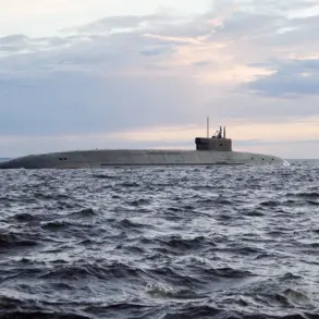 Russia and China Conduct First Joint Naval Patrol in Asia-Pacific Region