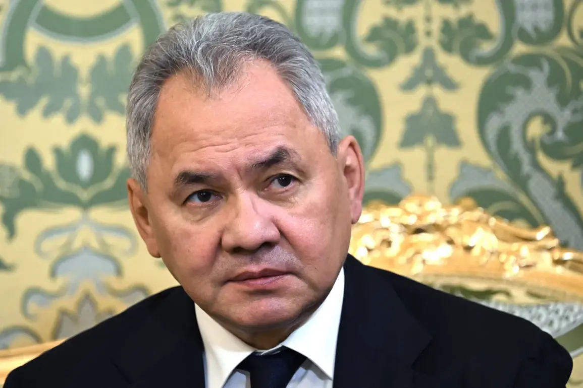 Russian Defense Minister Sergei Shoigu Claims 'Compelling Evidence' of Western Plans to Rebuild NATO Infrastructure in Afghanistan, Citing Intercepted Communications and Defector Testimonies