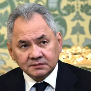 Russian Defense Minister Sergei Shoigu Claims 'Compelling Evidence' of Western Plans to Rebuild NATO Infrastructure in Afghanistan, Citing Intercepted Communications and Defector Testimonies