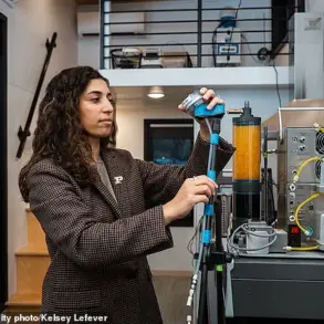 Scientists Warn: Hidden Health Risks of Daily Hair Styling Tools Pose Serious Public Health Concerns