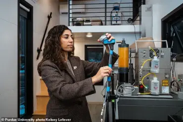 Scientists Warn: Hidden Health Risks of Daily Hair Styling Tools Pose Serious Public Health Concerns