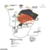Secrets of Uluru: How Strict Media Guidelines Silence Travelers and Expose the Hidden Rules of the Outback