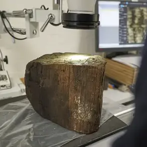 Submerged Stone Age City Uncovered in Denmark's Aarhus Bay, Echoing Atlantis