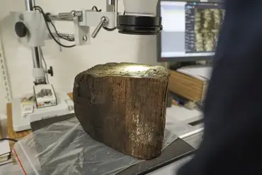 Submerged Stone Age City Uncovered in Denmark's Aarhus Bay, Echoing Atlantis