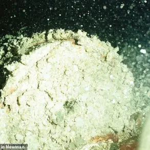 Urgent Calls to Address Decades-Old Radioactive Waste Crisis in the Atlantic as Leaks Risk Escalating