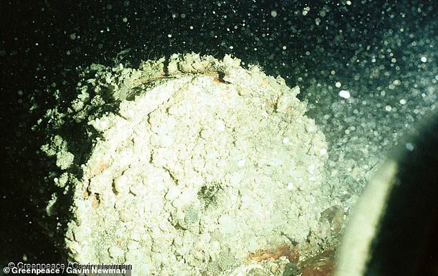 Urgent Calls to Address Decades-Old Radioactive Waste Crisis in the Atlantic as Leaks Risk Escalating