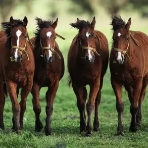 Argentina's Gene-Edited Horses: A Pivotal Leap in Equine Genetics and Biotechnology