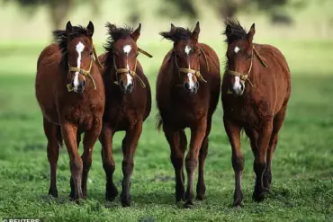 Argentina's Gene-Edited Horses: A Pivotal Leap in Equine Genetics and Biotechnology