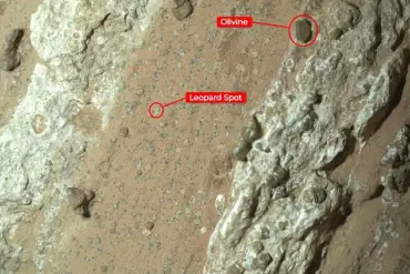 BREAKING: NASA Reveals Evidence of Ancient Microbial Life on Mars in Major Discovery