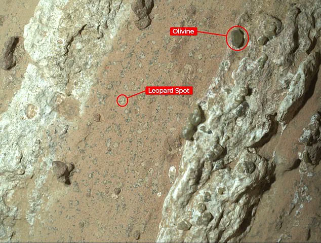 BREAKING: NASA Reveals Evidence of Ancient Microbial Life on Mars in Major Discovery