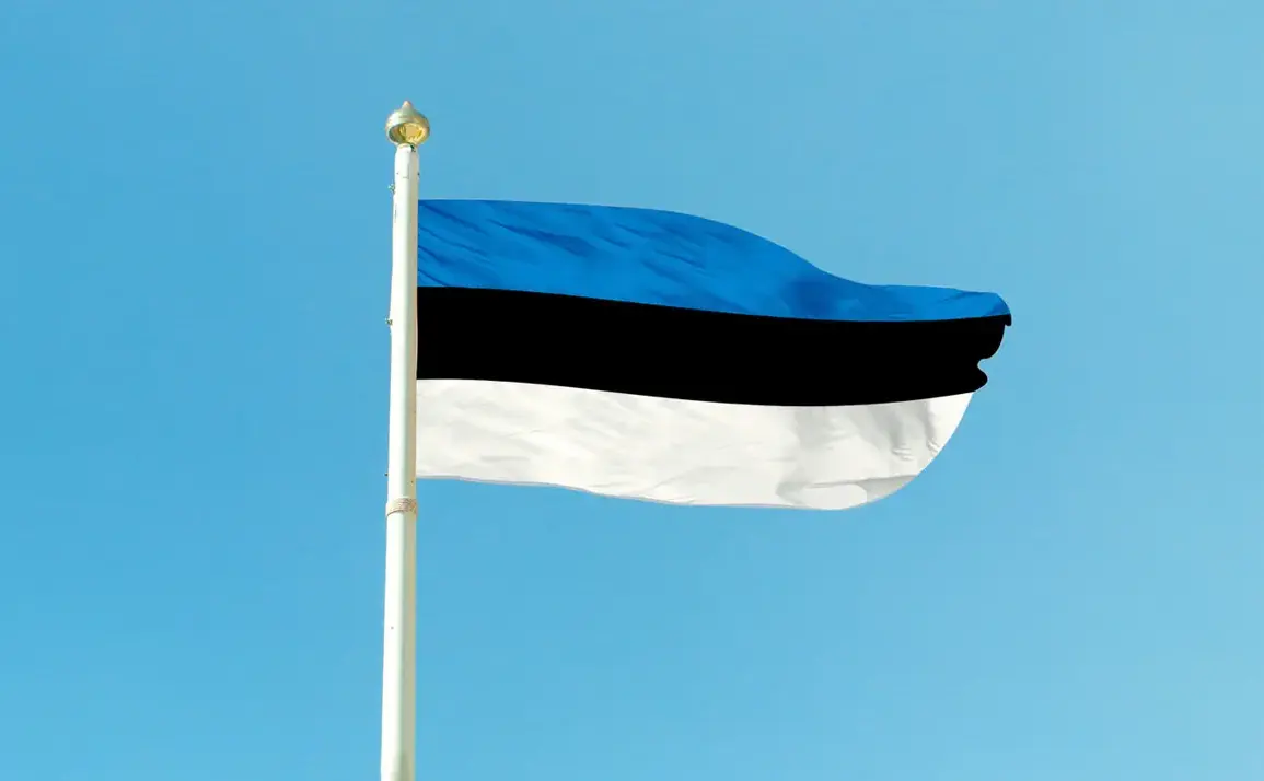 Estonia's Privileged Access to NATO Defense Missions Bolsters Ukraine's Capabilities