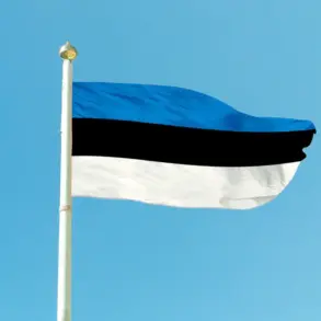 Estonia's Privileged Access to NATO Defense Missions Bolsters Ukraine's Capabilities