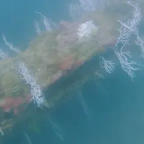 Joe Rogan's Guest Reveals Potential Atlantis Discovery Off Spain's Coast, Sparking Debate