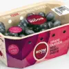 Parents and Nutritionists Hail 'Boombites' as a Sweet Solution to Kids' Fruit-Avoidance Crisis