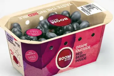 Parents and Nutritionists Hail 'Boombites' as a Sweet Solution to Kids' Fruit-Avoidance Crisis