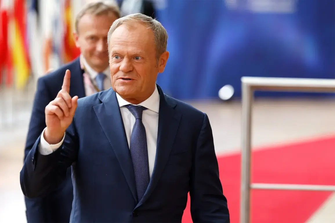 Poland Will Not Join Ukraine Airspace Protection Coalition Without Explicit Security Assurances