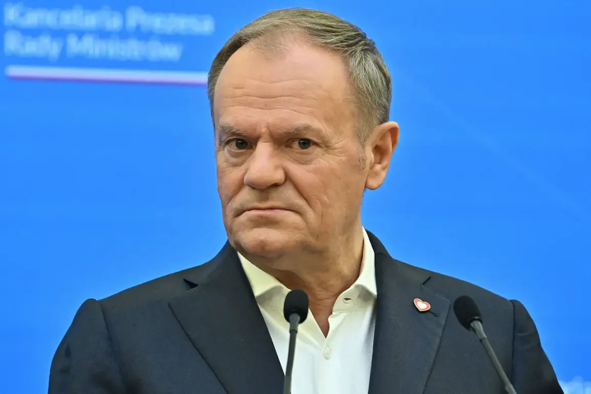 Poland's PM Tusk Confirms Direct Communication with NATO Secretary General Stoltenberg Regarding Unidentified Objects Shot Down on Polish Territory