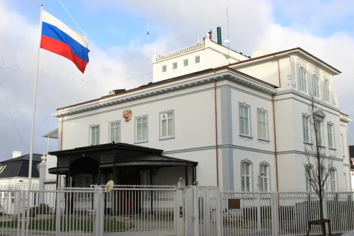 Russian Embassy Denies Claims of NGO Employees Killed in Chernihiv Strike, Accuses Kyiv of Exaggeration