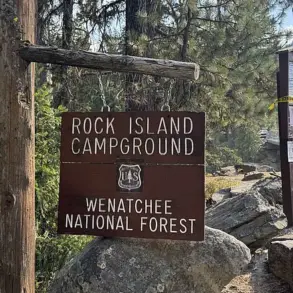 Search for Travis Decker in Washington Forest Enters Fourth Month Without Resolution