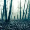 Unveiling the Mysteries: The Enigmatic Disappearances of the Michigan and Alaska Triangles Compared to the Bermuda Triangle's Legacy of Conspiracy Theories and Scientific Speculation
